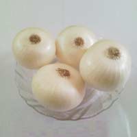 Fresh White Onion Manufacturer Supplier Wholesale Exporter Importer Buyer Trader Retailer in Mahua Gujarat India